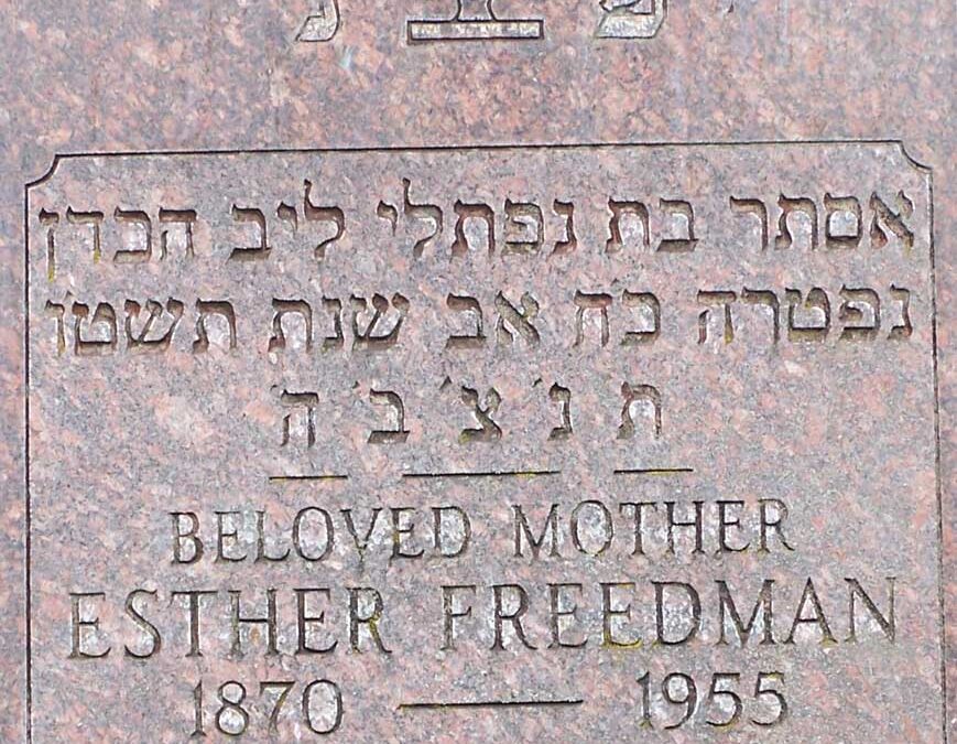 ESTHER FREEDMAN Monument