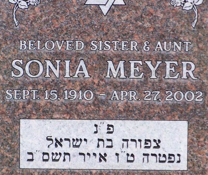 SONIA MEYER Monument