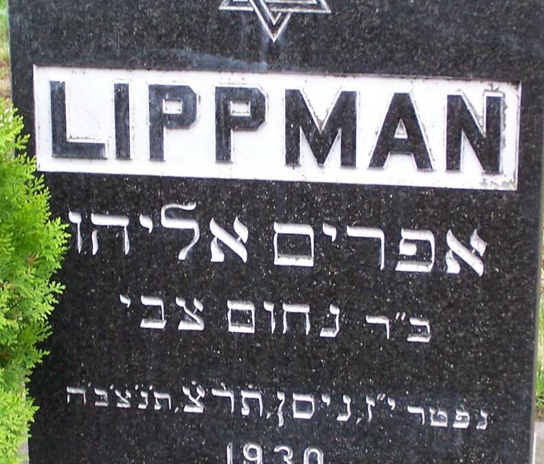 EPHRIAM. A. (FRANK) LIPPMAN Monument