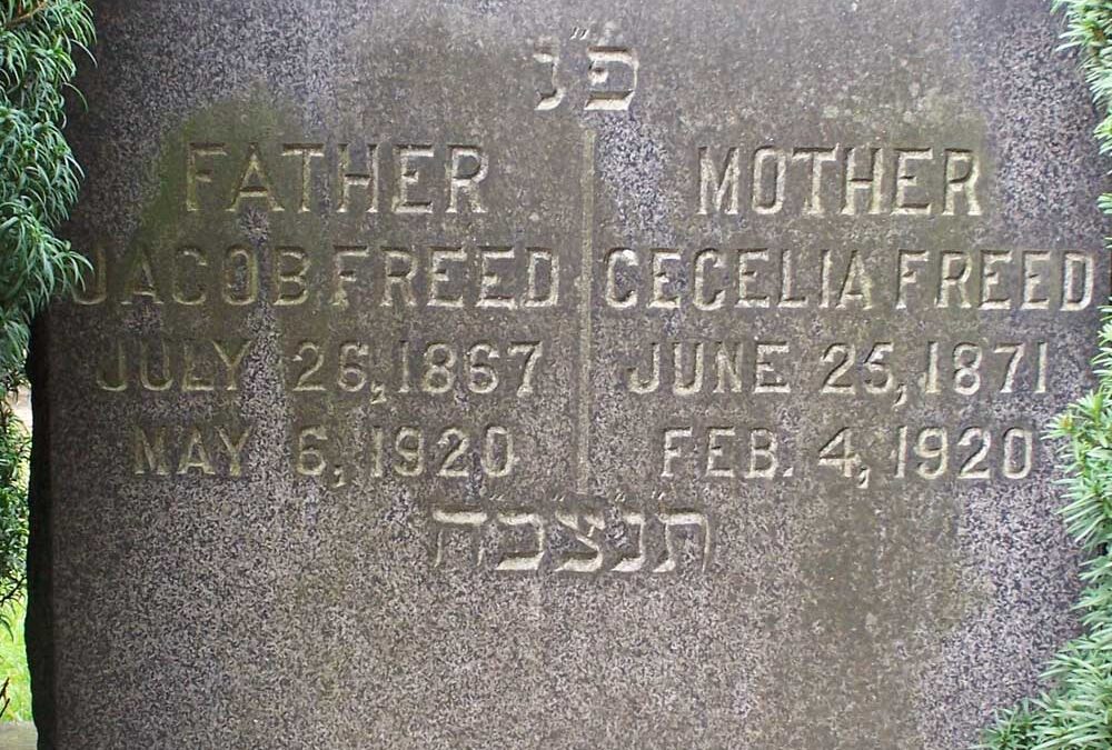 CECILLA FREED Monument