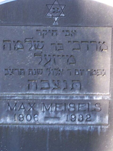 MAX MEISEL | BCMH Seattle