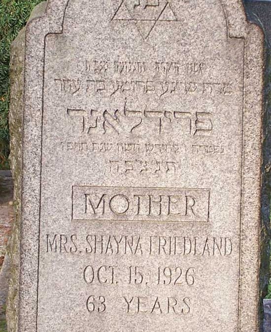 SHAYNA FRIEDLAND Monument