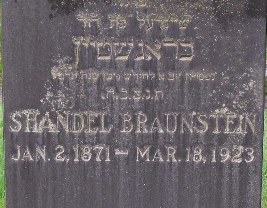 SHANDEL BRAUNSTEIN Monument