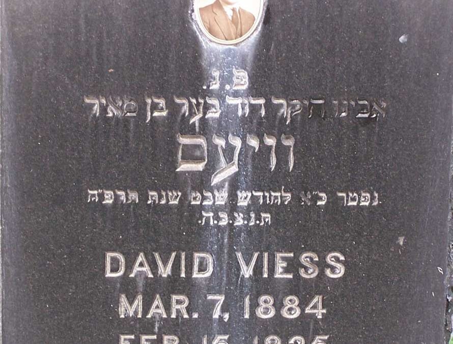 DAVID VIESS Monument