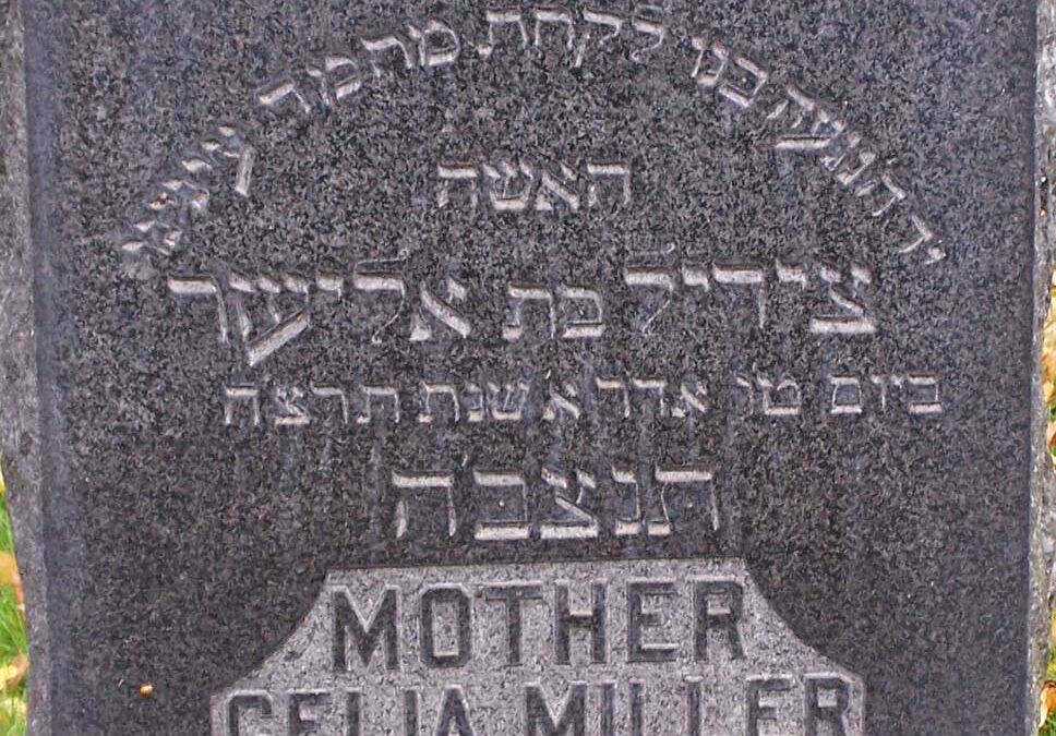 CELIA MILLER Monument