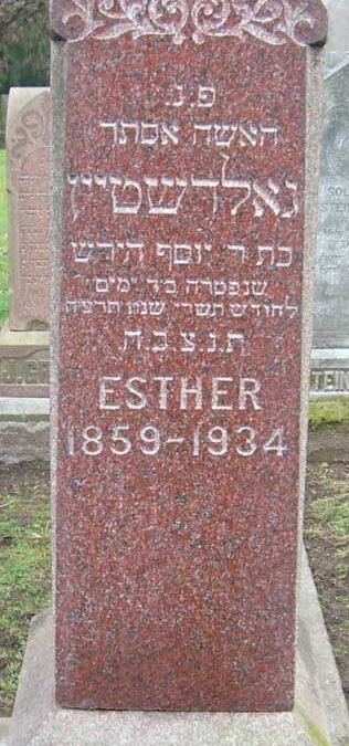 ESTHER GOLDSTEIN Monument