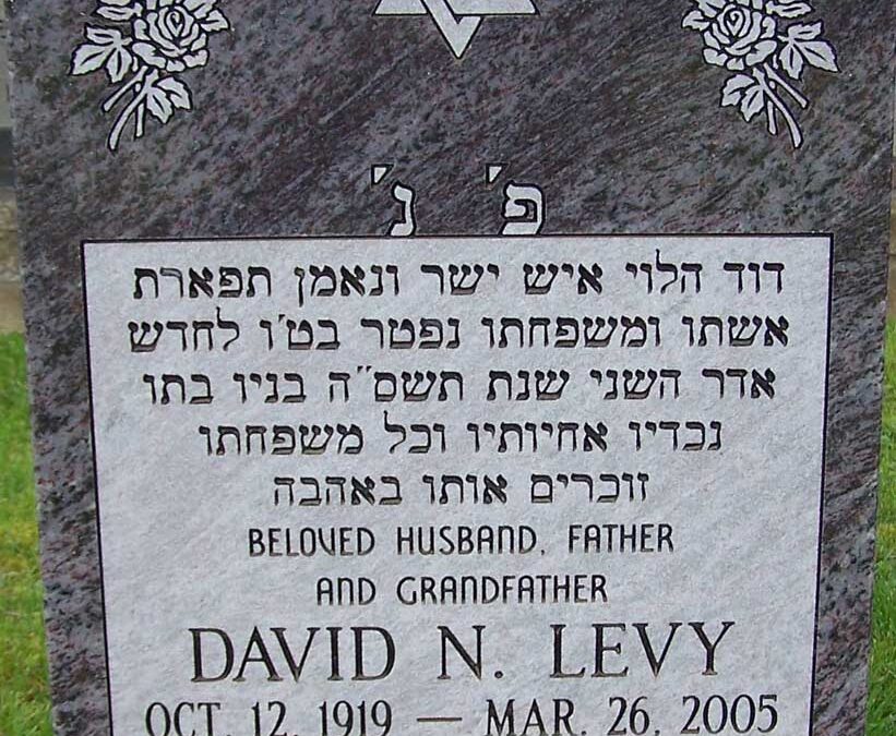 DAVID N LEVY Monument