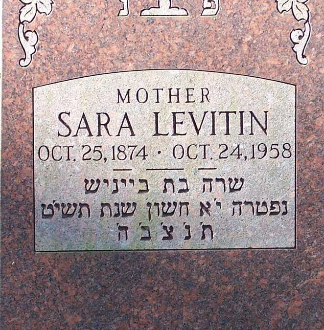 SARAH LEVITIN Monument