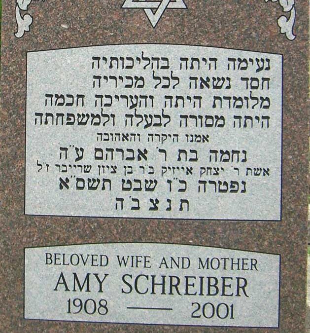 AMY SCHREIBER Monument